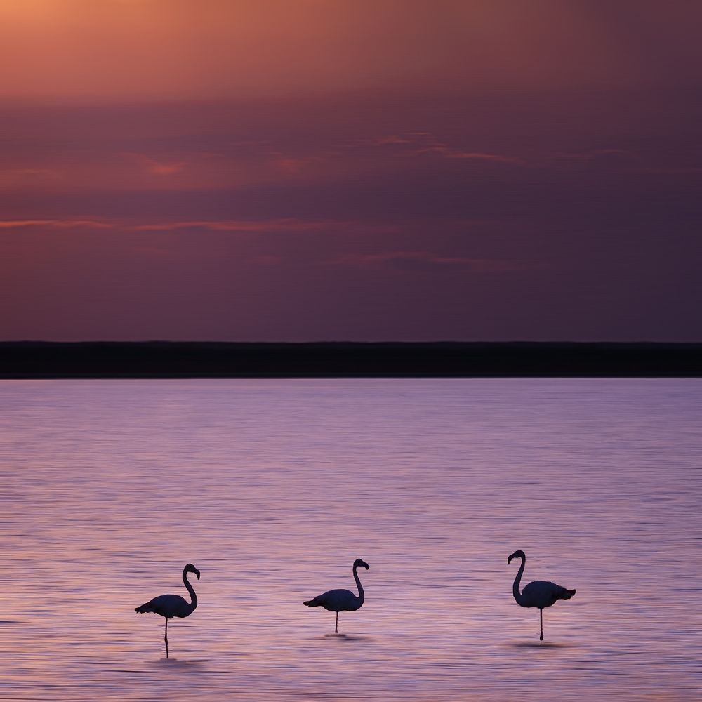 Photograph by Sara Azizi