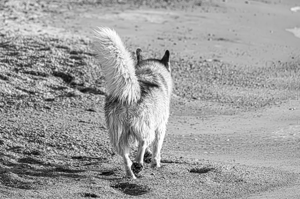 Photograph by KFIR HANUNOV