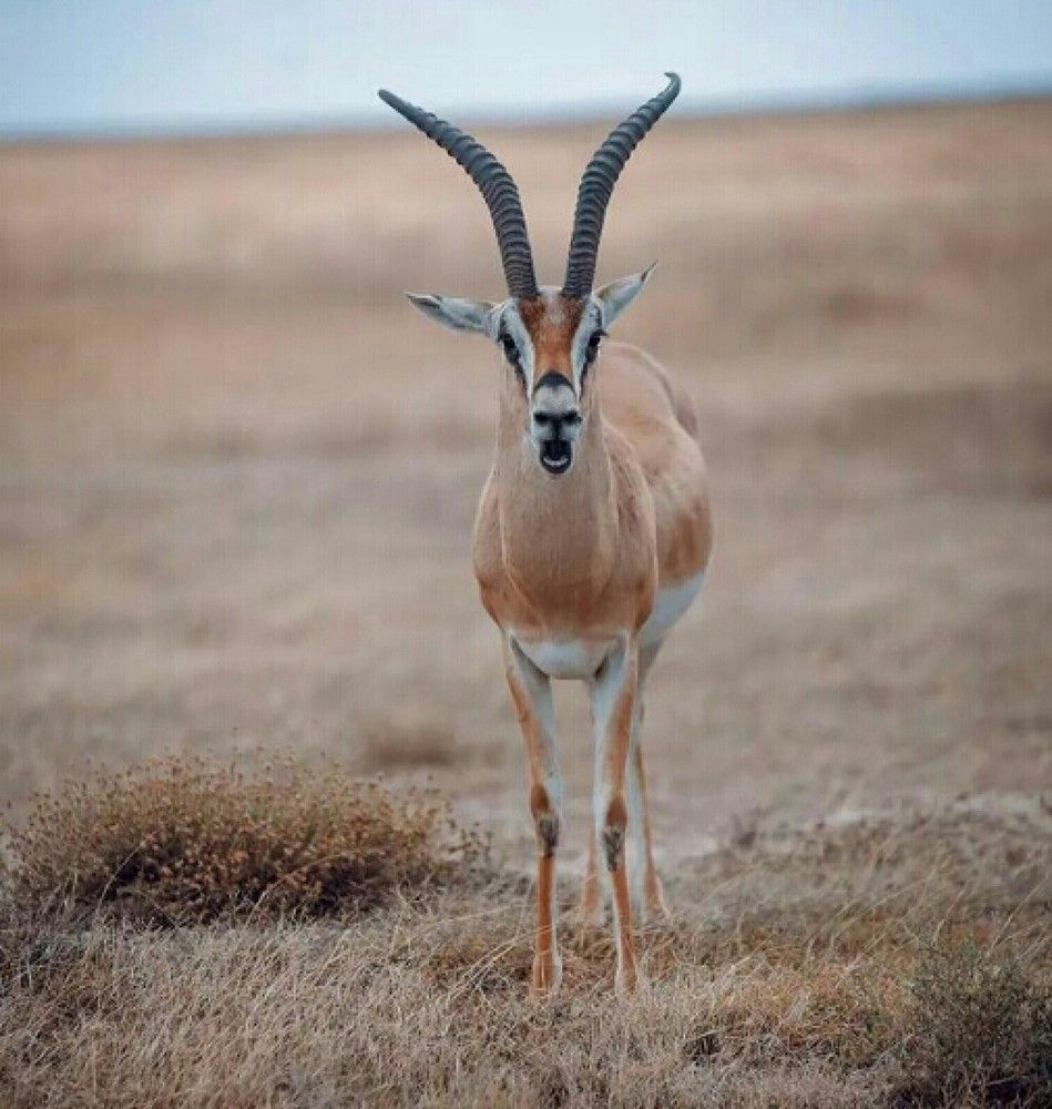 Photograph by Kassim Kissiwa