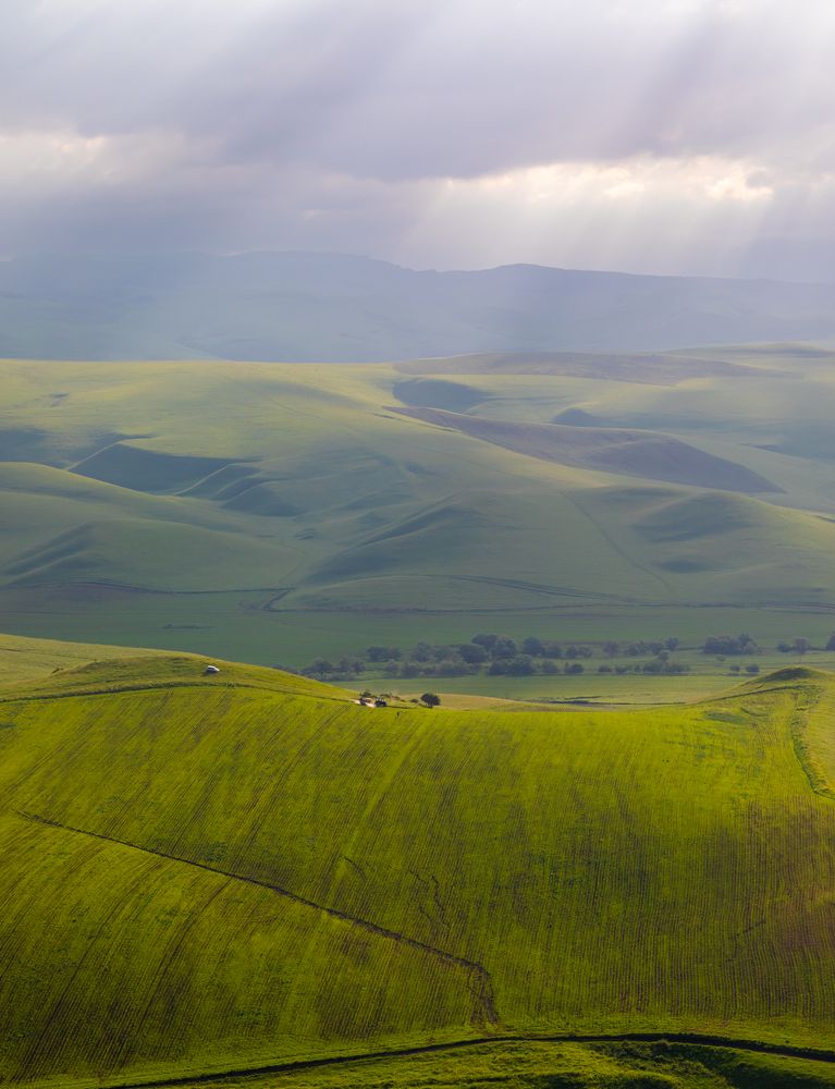 Photograph by Евгения Чех