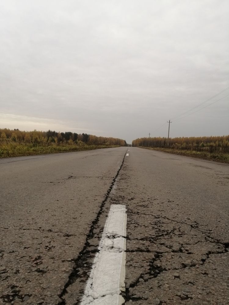 Дорога