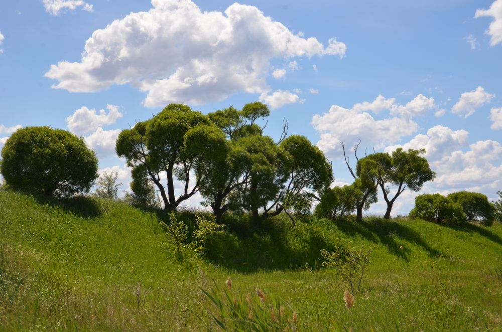 Photograph by Светлана Вербицкая