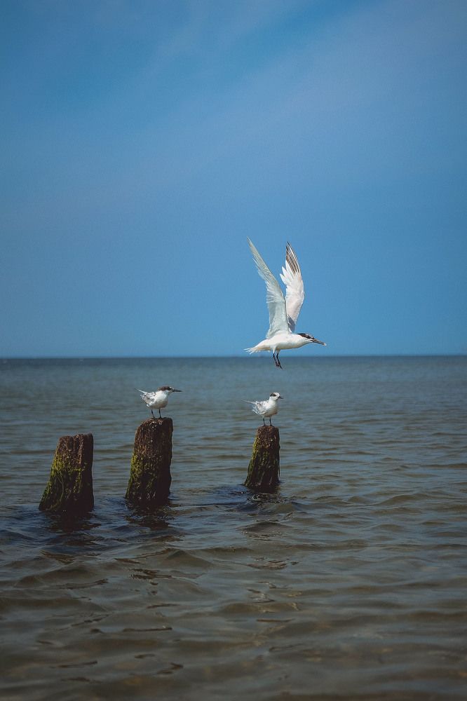 Photograph by Екатерина Мисовец