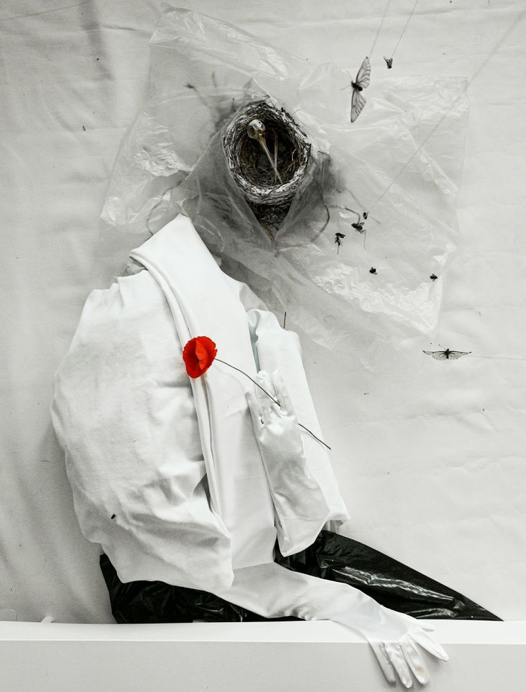 Photograph by Елена Измакова