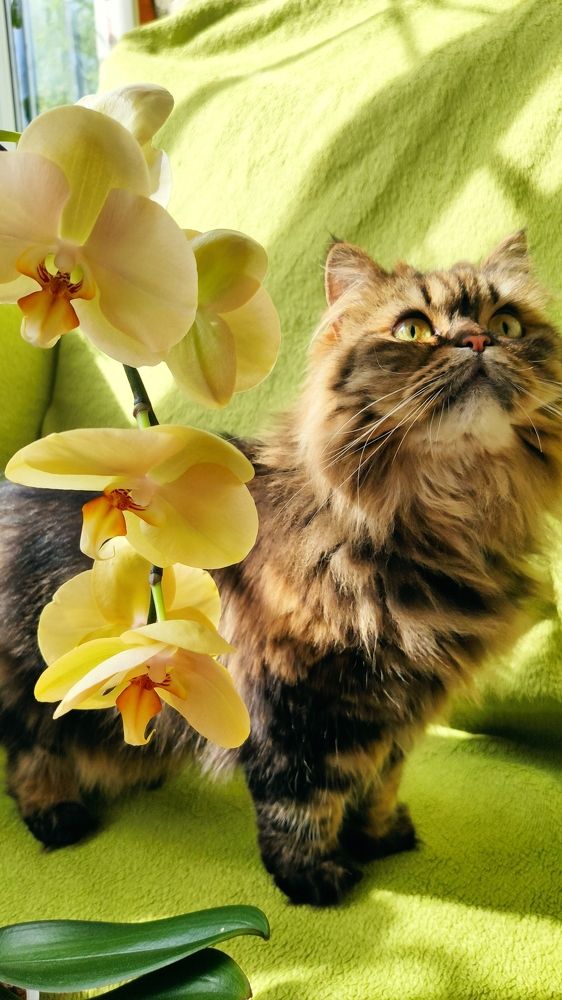 Photograph by Svetlana Stenkina