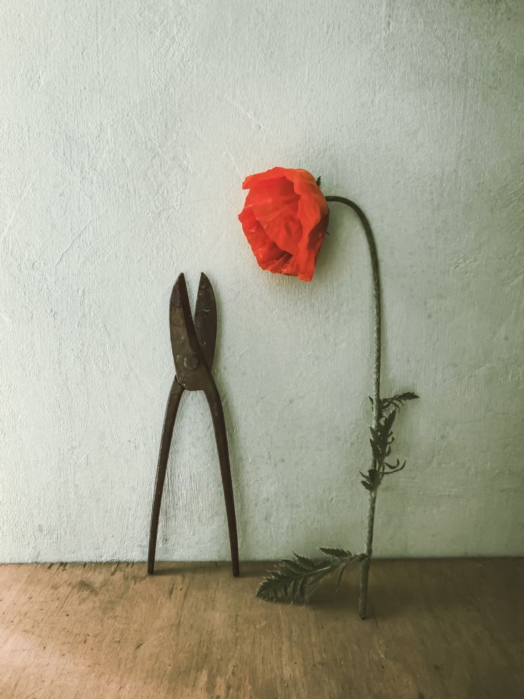 Photograph by Ирина Водяницкая