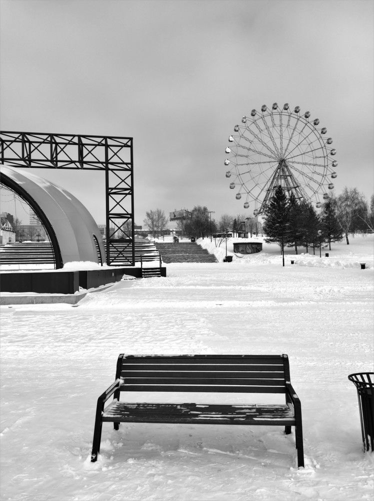 В зимнем парке все белым бело
