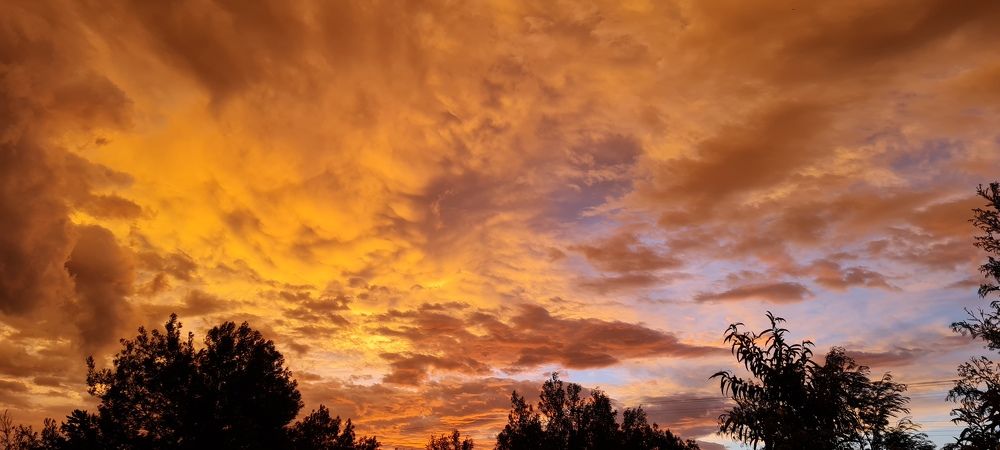 Photograph by Aaron Roode