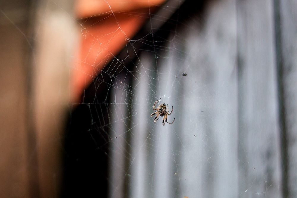 Photograph by Яна Резник