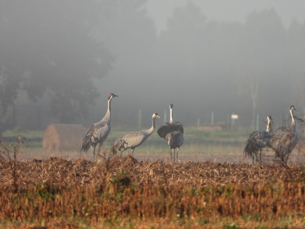 Photograph by ТАТЬЯНА КОНРАДИ