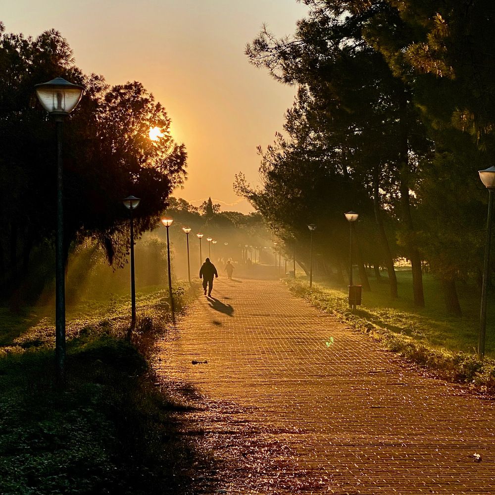 Photograph by Iulian Moldovan