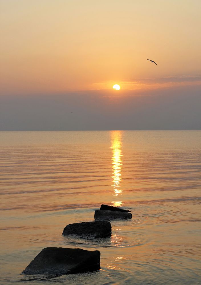 Photograph by Юлия