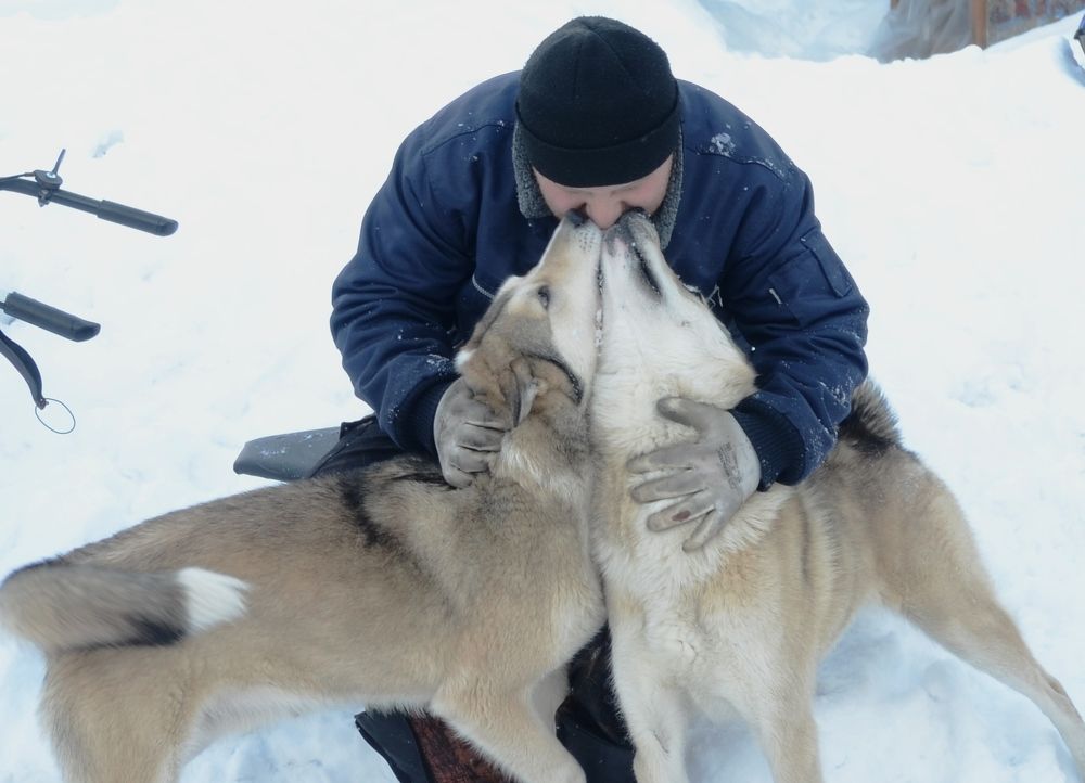 Photograph by Оксана Давыдова