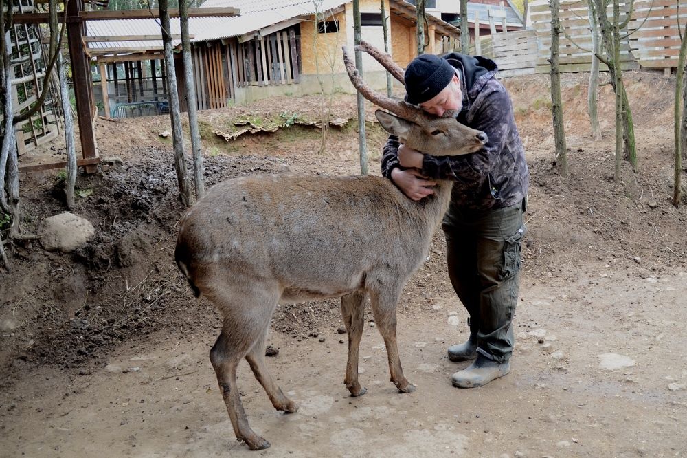 Photograph by Оксана Давыдова