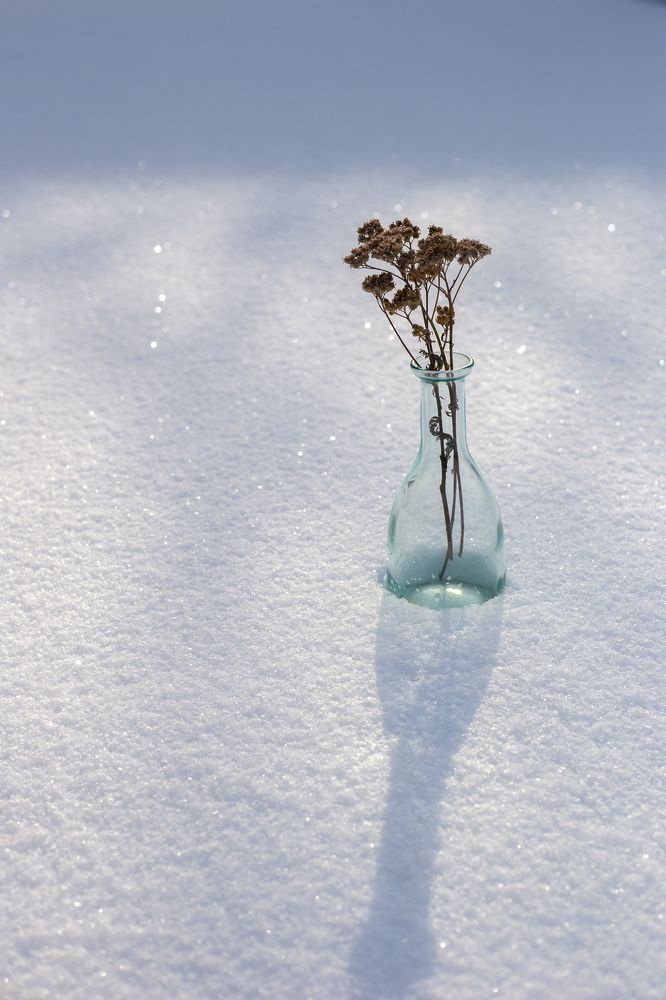 Photograph by Марина Смирнова