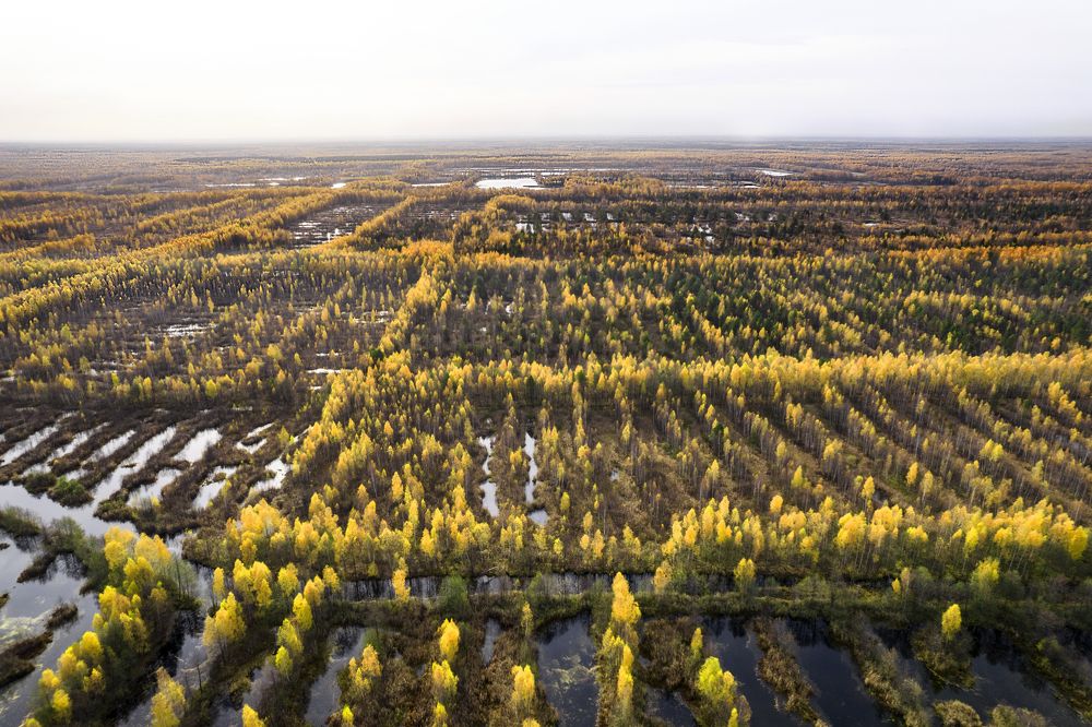 Photograph by Марина Рунова