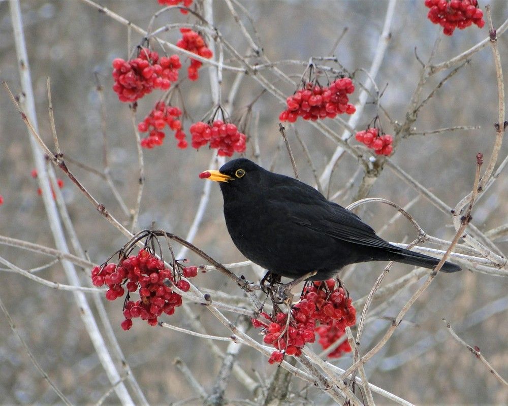 Photograph by Oksana