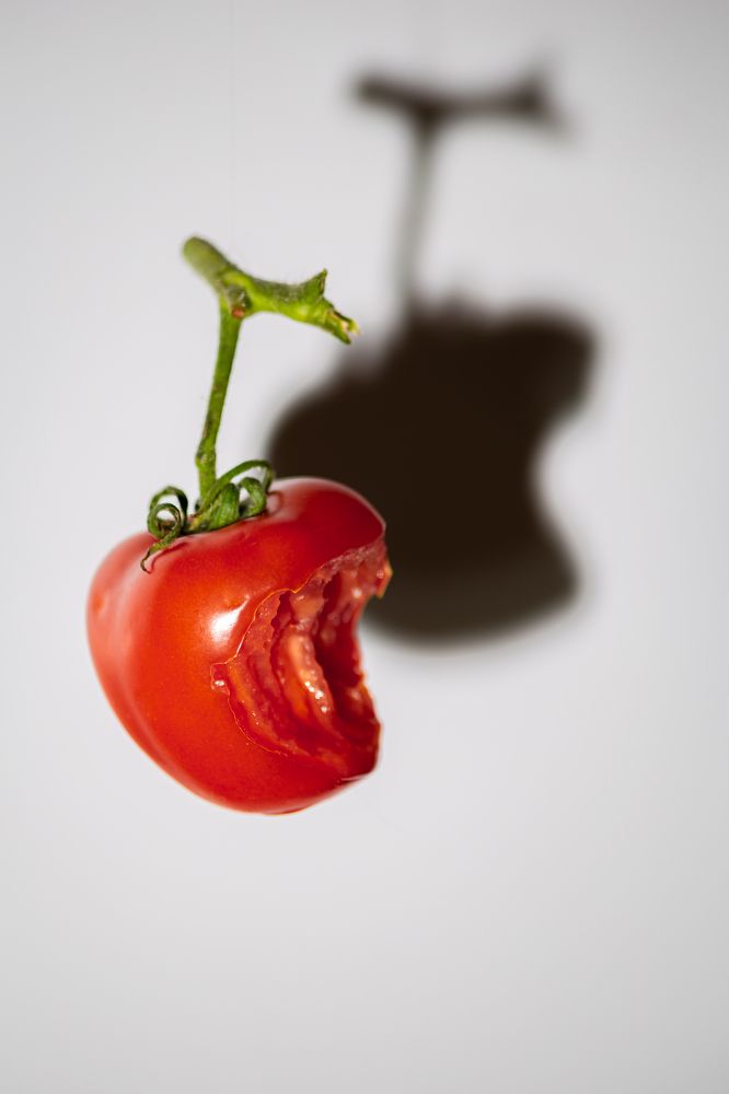 Photograph by Артем Соколов