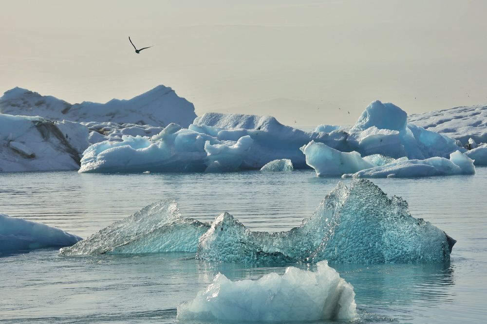 Photograph by Zdenek Janovsky