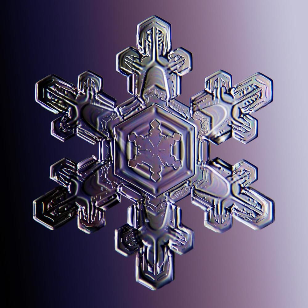 Photograph by Тимофей Черепанов