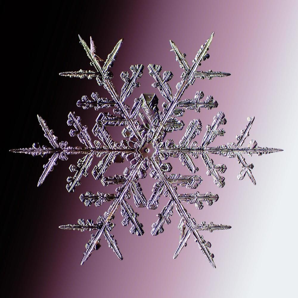 Photograph by Тимофей Черепанов