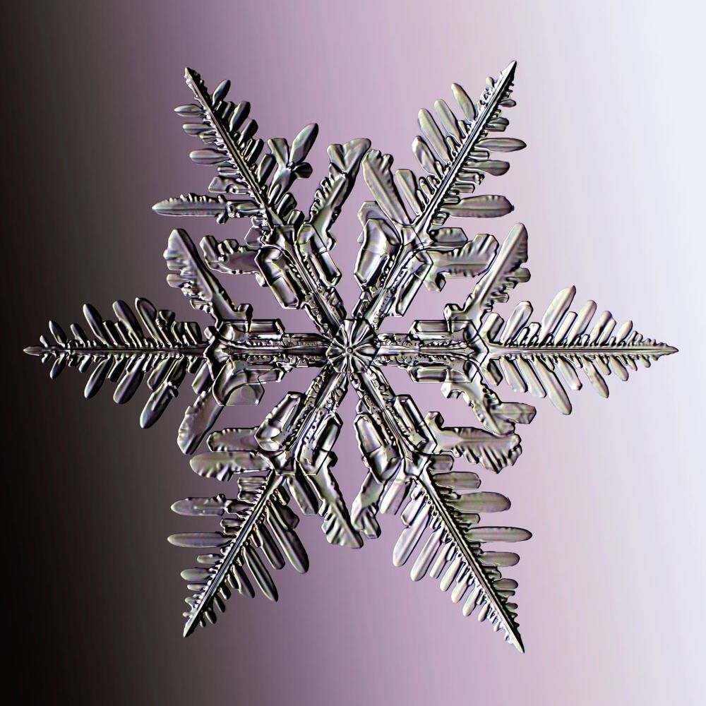 Photograph by Тимофей Черепанов