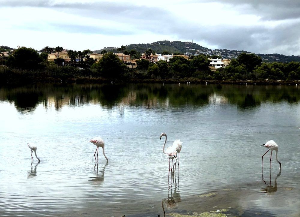 Photograph by Александр Позигун