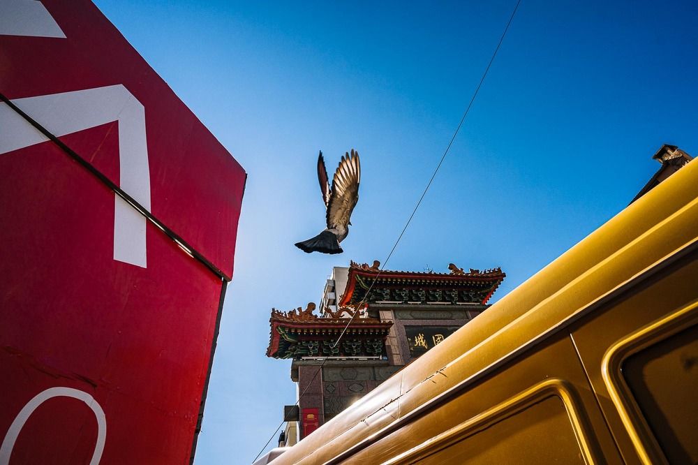 Photograph by Lenny Ruiz