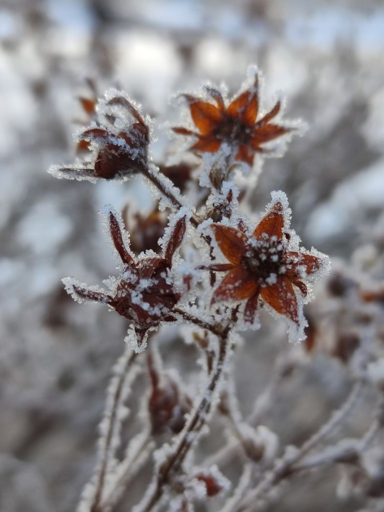 Photograph by Ирина Подлубная