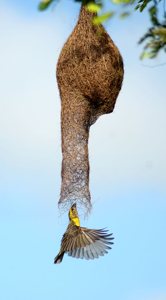 Photograph by Benjamine Dharashan