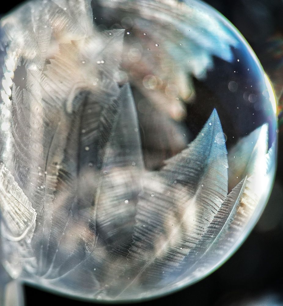 Photograph by Natali