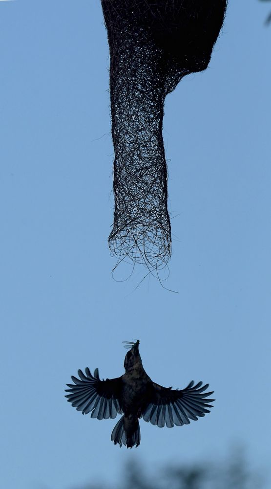 Photograph by Benjamine Dharashan