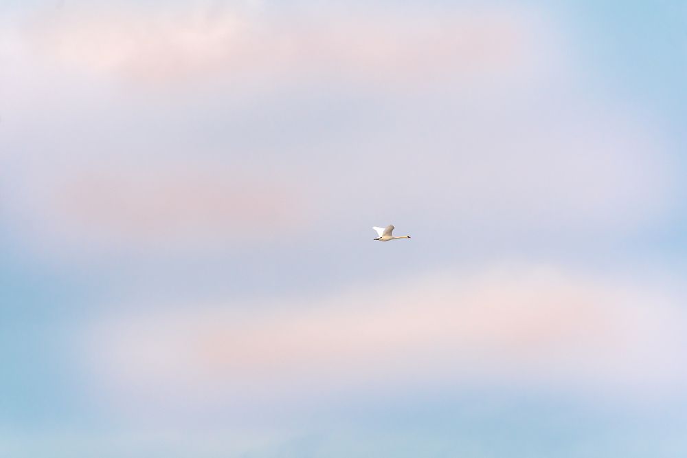 В свободном полете