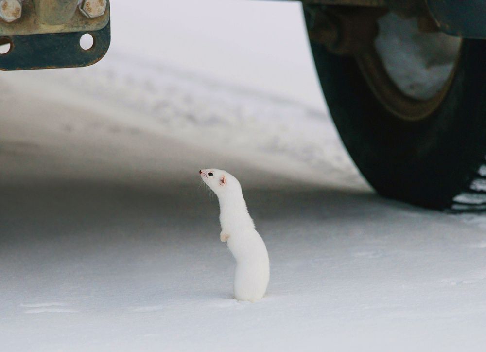 И страшно и любопытно.