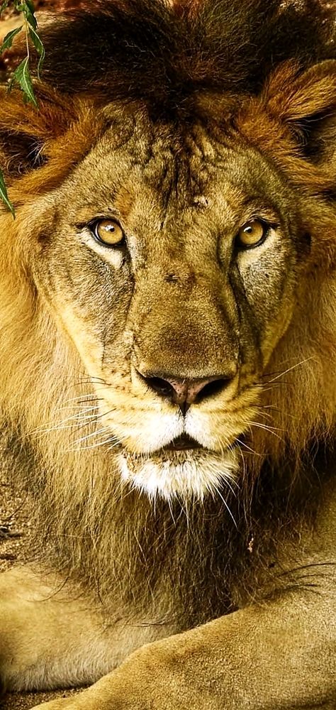 Photograph by Jay Sharan