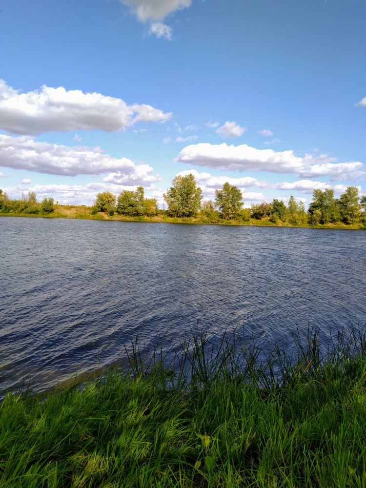 Photograph by олеся