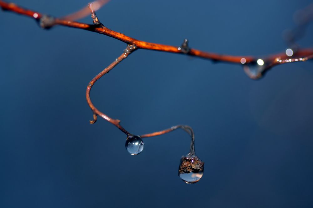 Photograph by Maria Danilkina