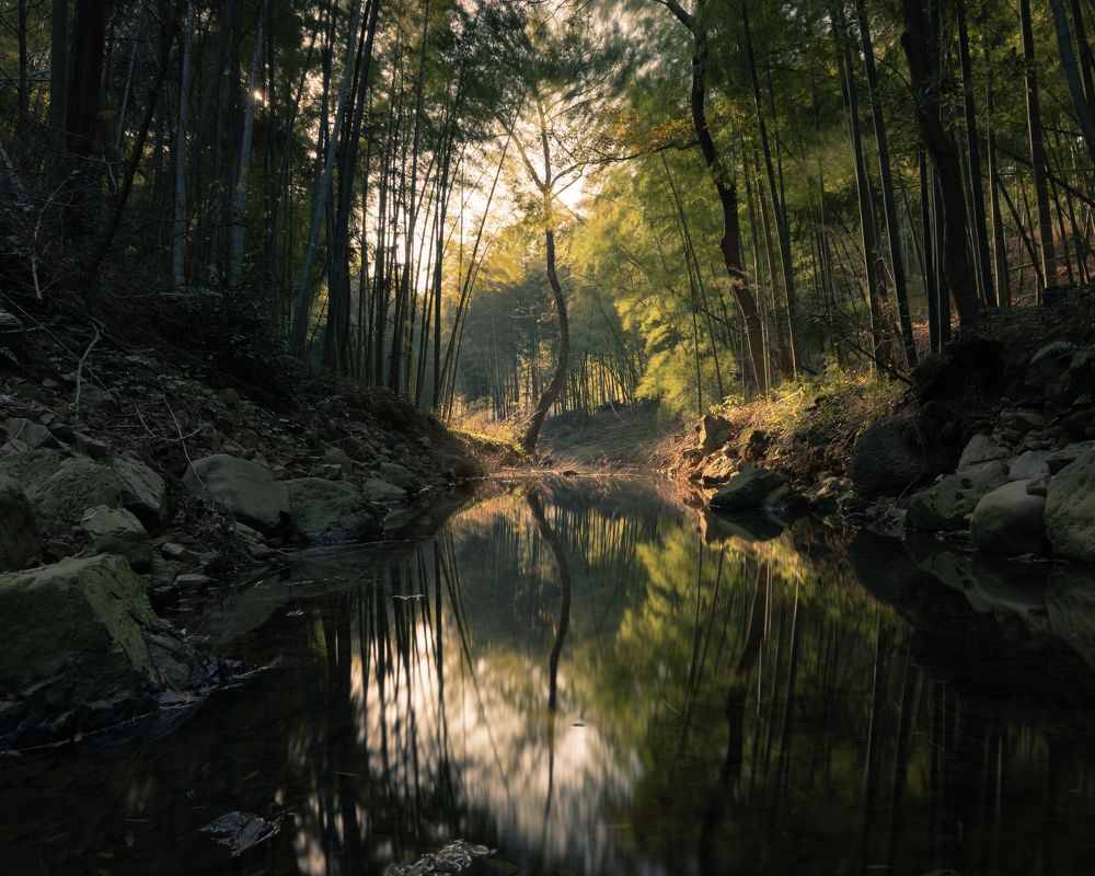 Photograph by Fang Hao