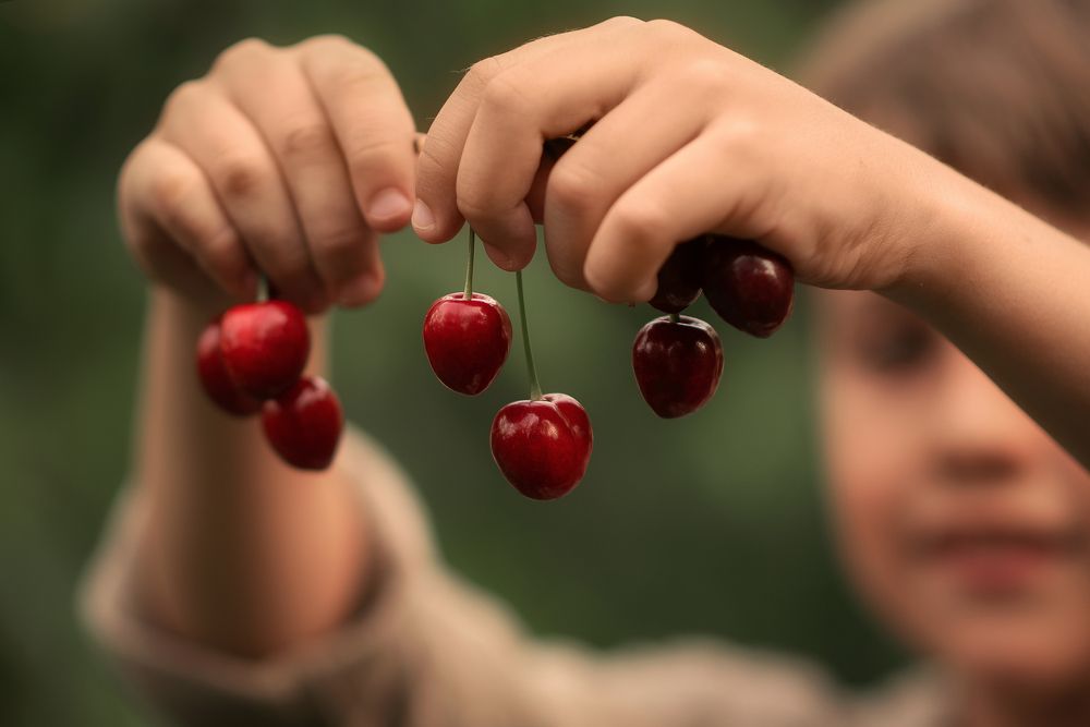 Photograph by Юлия Пархоц