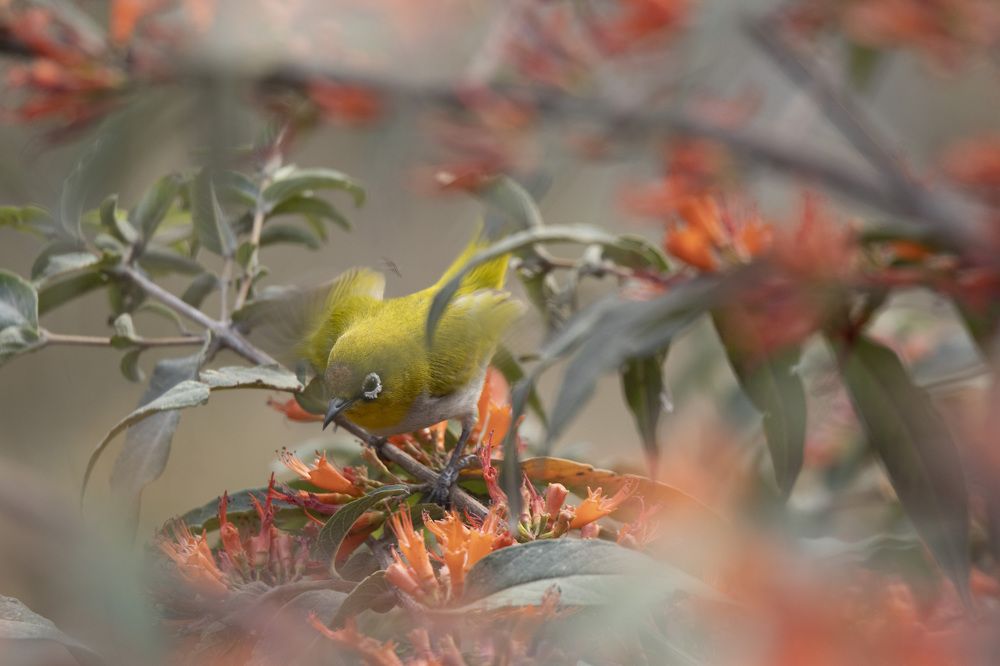 Photograph by Sourav Mahant