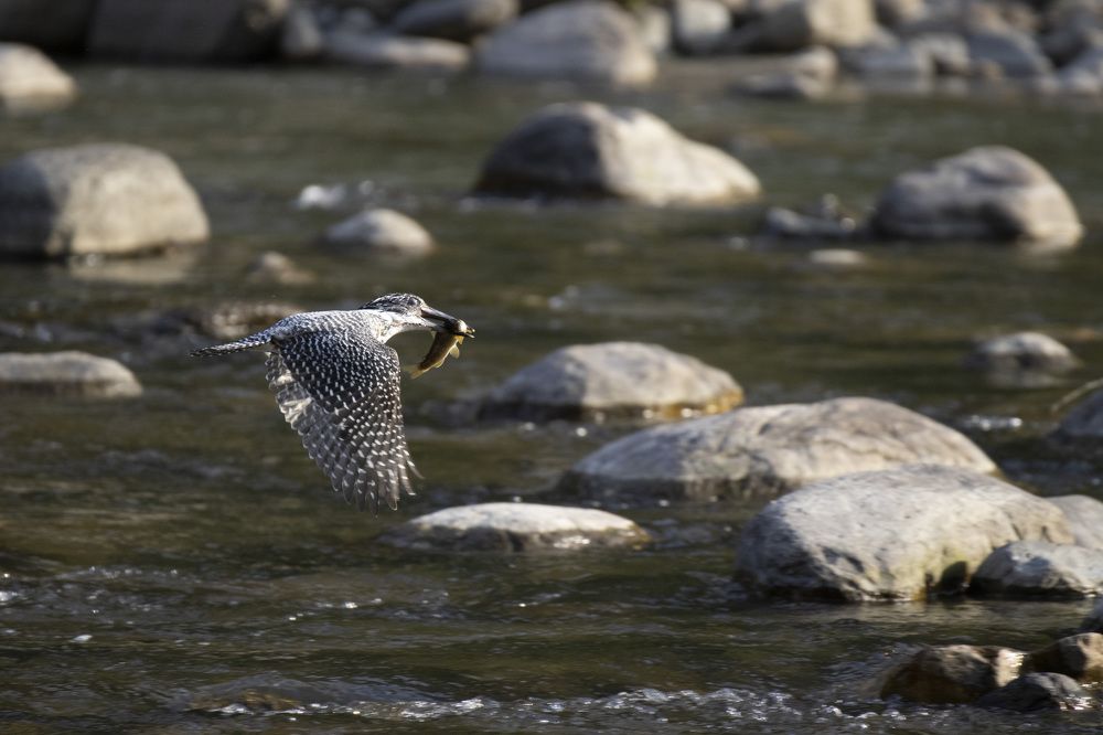 Photograph by Sourav Mahant