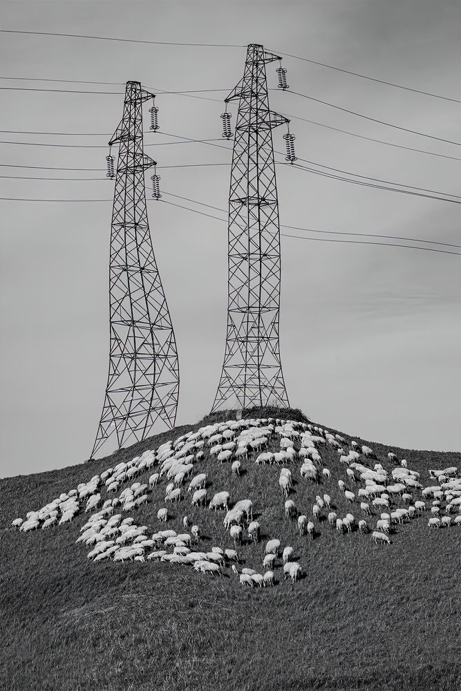 Photograph by Giuseppe Francavilla