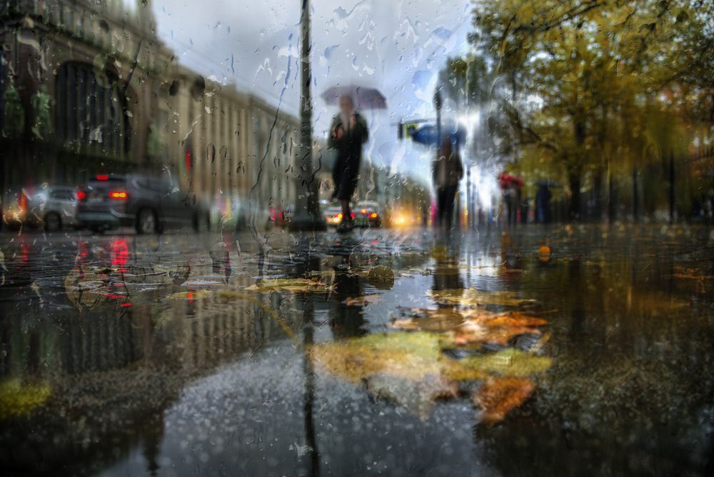 Photograph by Эдуард Гордеев