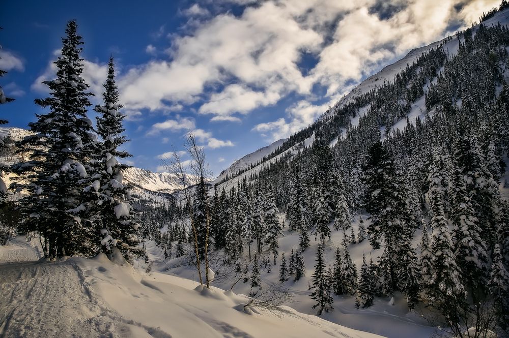 Photograph by Дмитрий Бухтик