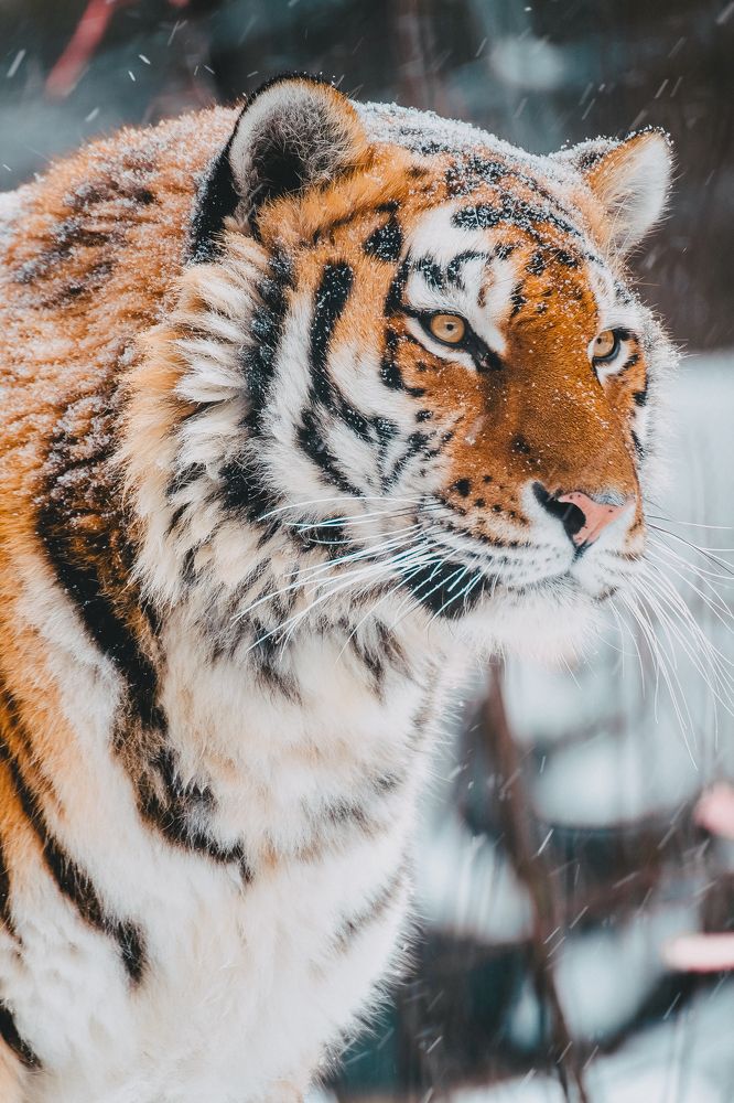 Photograph by Egor Golubkin