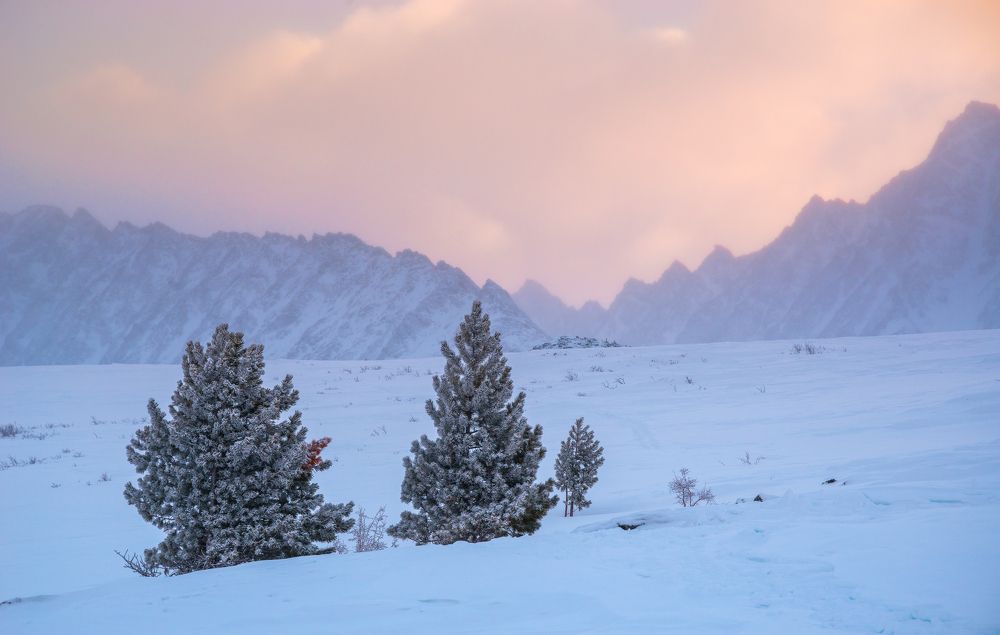 Photograph by Evgeniy Khilkevitch