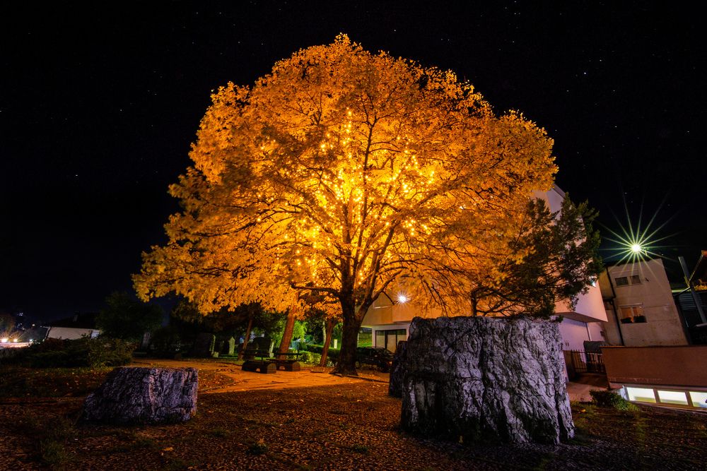 Photograph by Sadzid Karic