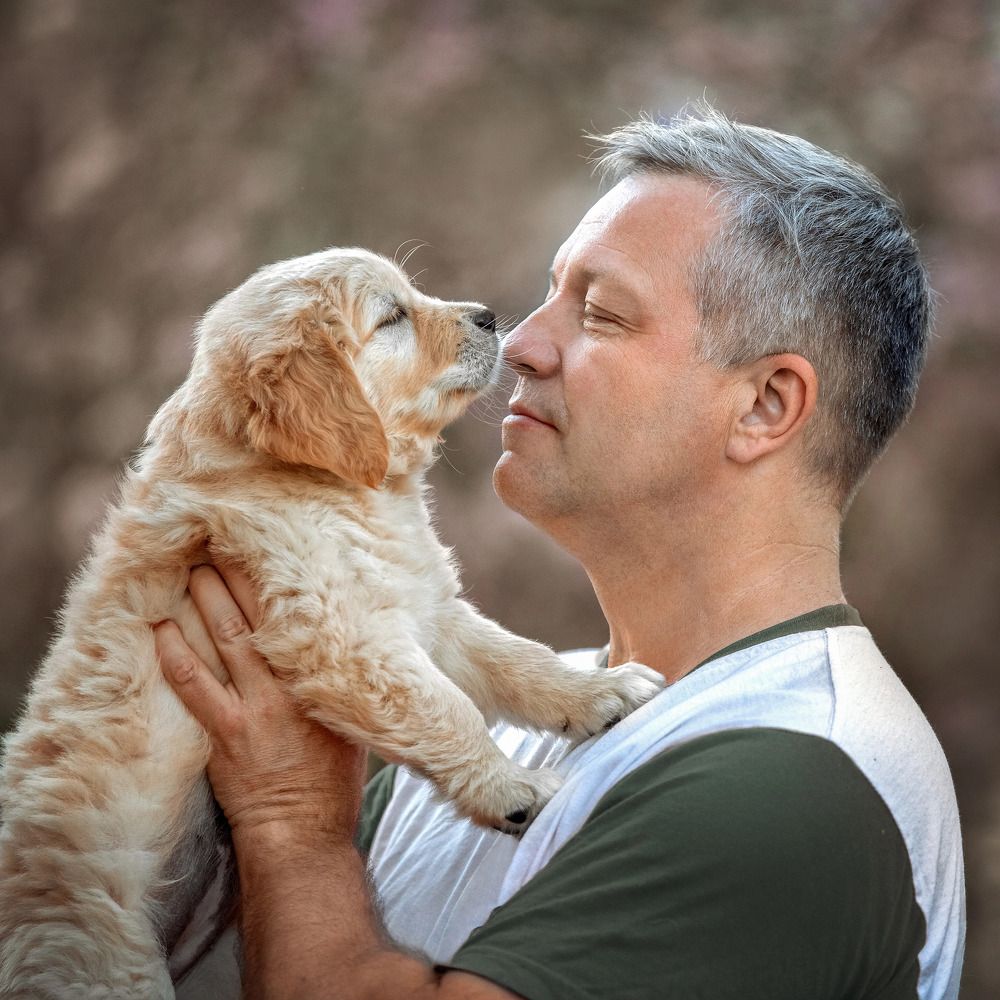 Photograph by Татьяна Тихомирова