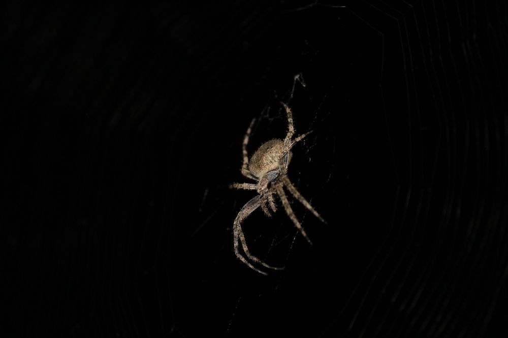 Photograph by Sourav Mahant