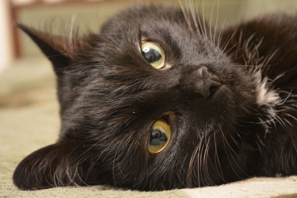 Photograph by Дмитрий Крюков